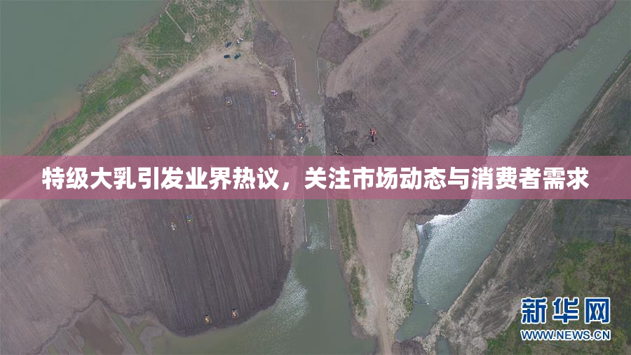特级大乳引发业界热议，关注市场动态与消费者需求
