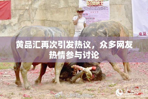 黄品汇再次引发热议，众多网友热情参与讨论
