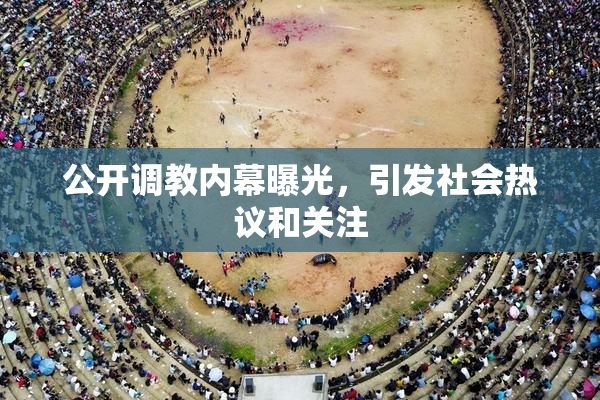 公开调教内幕曝光，引发社会热议和关注