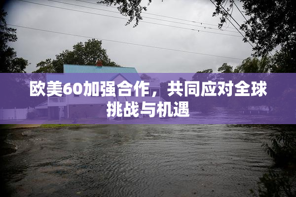 欧美60加强合作，共同应对全球挑战与机遇