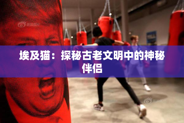 埃及猫：探秘古老文明中的神秘伴侣