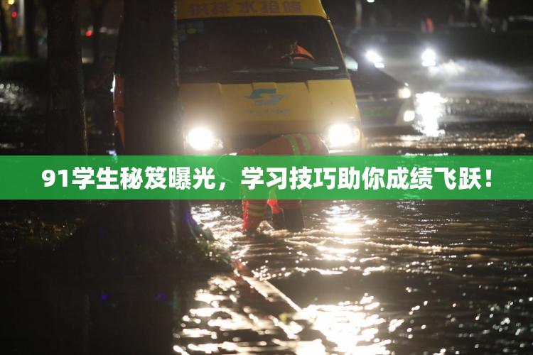 91学生秘笈曝光，学习技巧助你成绩飞跃！