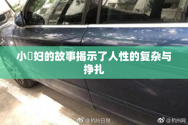 小婬妇的故事揭示了人性的复杂与挣扎