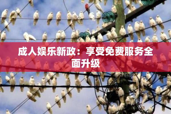 成人娱乐新政：享受免费服务全面升级