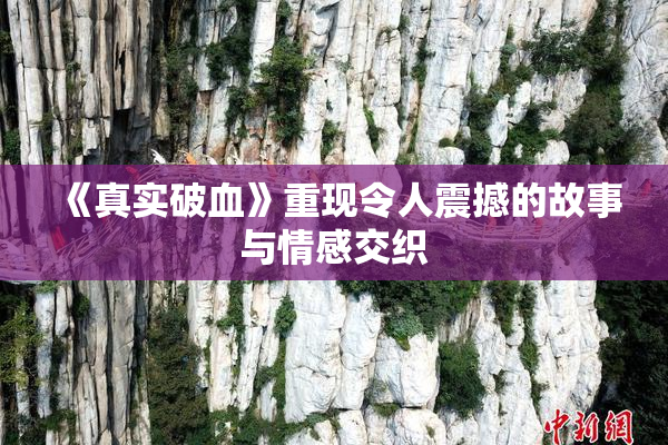 《真实破血》重现令人震撼的故事与情感交织