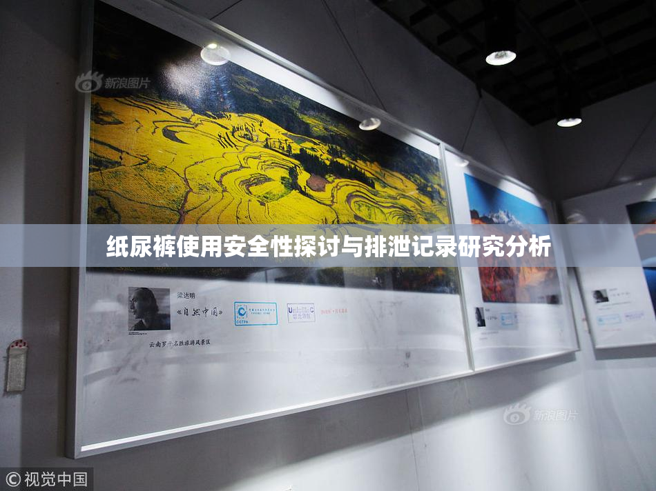 纸尿裤使用安全性探讨与排泄记录研究分析
