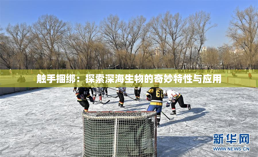触手捆绑：探索深海生物的奇妙特性与应用