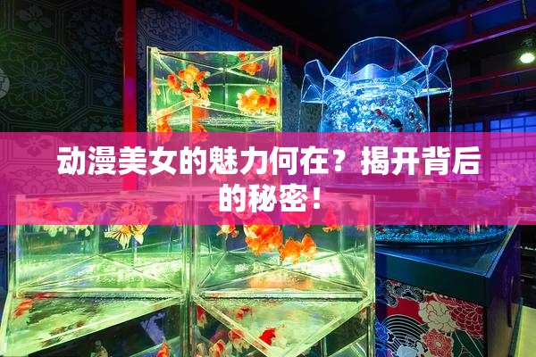 动漫美女的魅力何在？揭开背后的秘密！