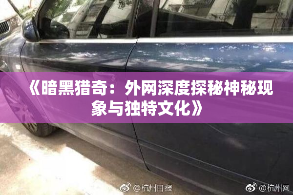 《暗黑猎奇：外网深度探秘神秘现象与独特文化》