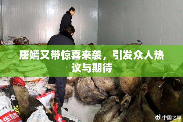 唐嫣又带惊喜来袭，引发众人热议与期待