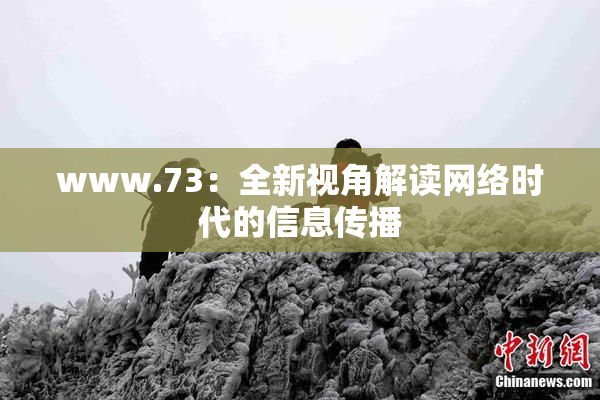 www.73：全新视角解读网络时代的信息传播