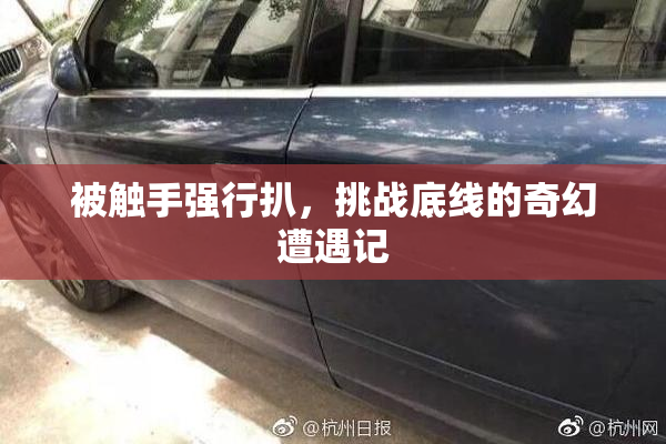 被触手强行扒，挑战底线的奇幻遭遇记