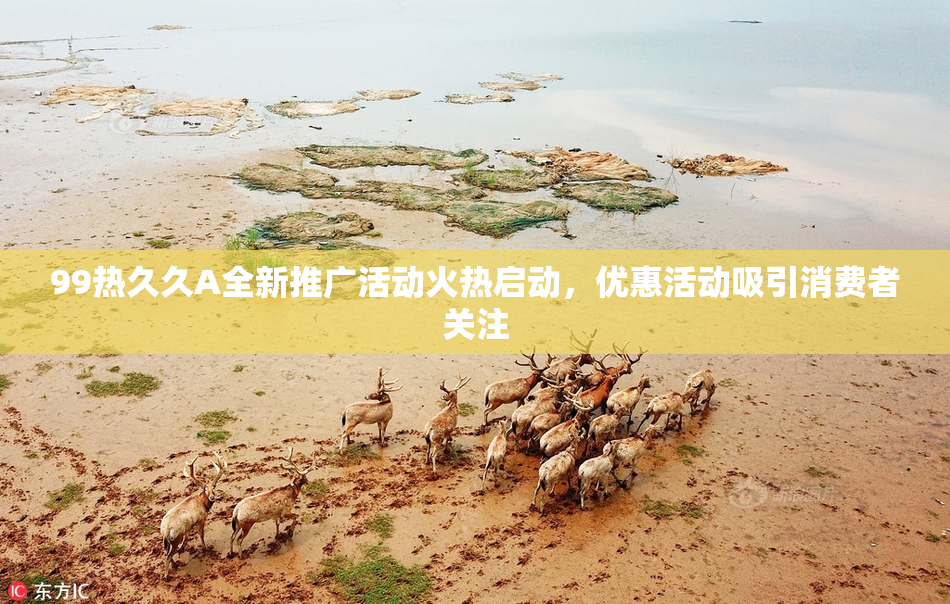 99热久久A全新推广活动火热启动，优惠活动吸引消费者关注