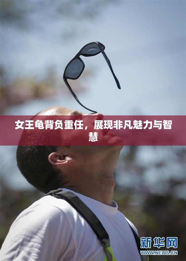 女王龟背负重任，展现非凡魅力与智慧