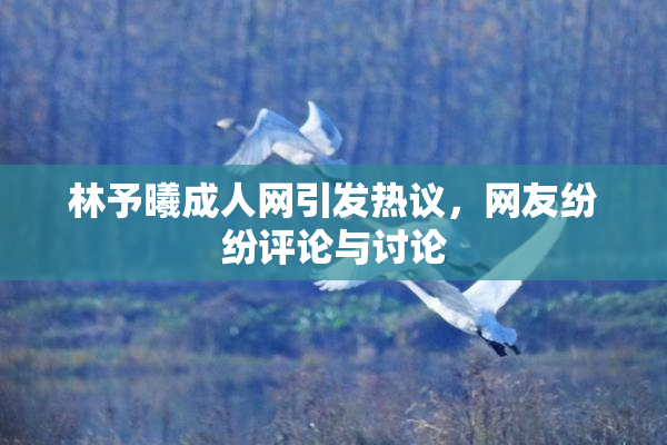 林予曦成人网引发热议，网友纷纷评论与讨论