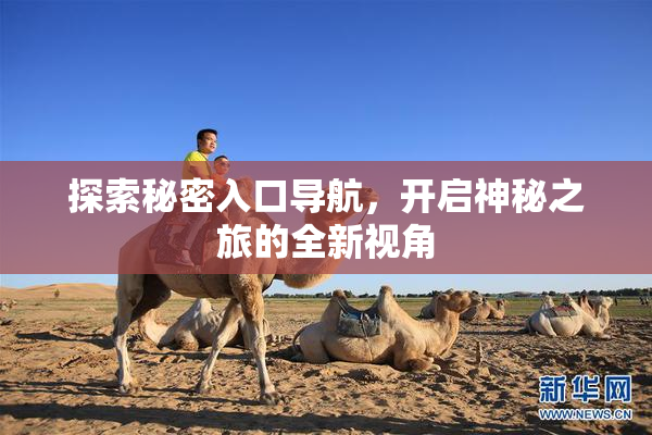 探索秘密入口导航，开启神秘之旅的全新视角