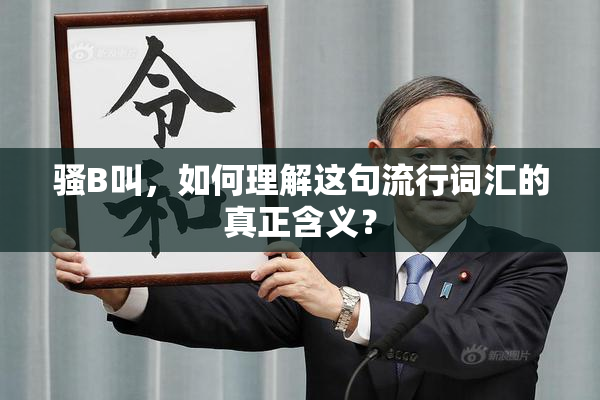 骚B叫，如何理解这句流行词汇的真正含义？