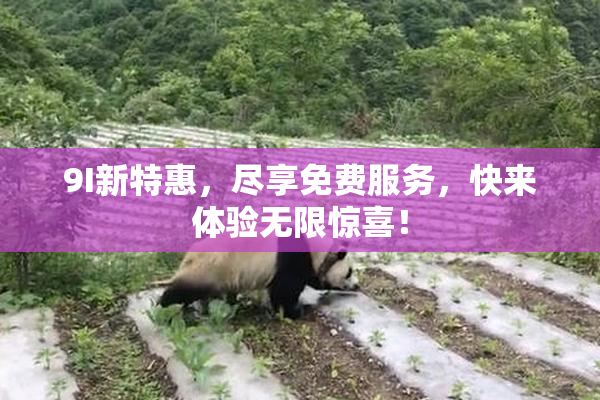 9I新特惠，尽享免费服务，快来体验无限惊喜！