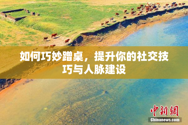 如何巧妙蹭桌，提升你的社交技巧与人脉建设