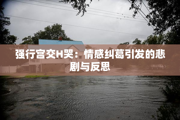 强行宫交H哭：情感纠葛引发的悲剧与反思