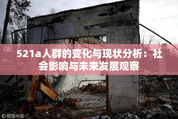 521a人群的变化与现状分析：社会影响与未来发展观察