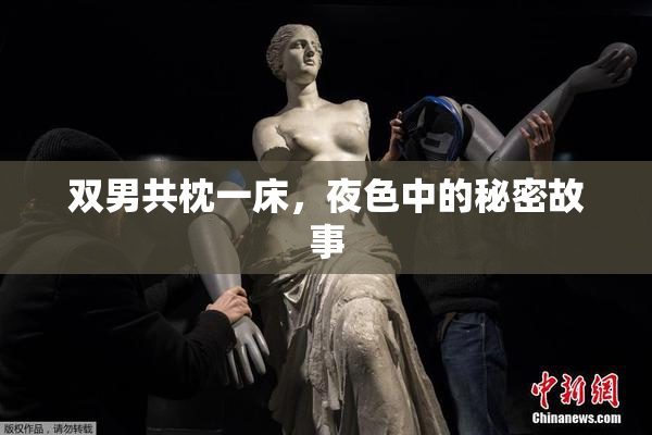 双男共枕一床，夜色中的秘密故事