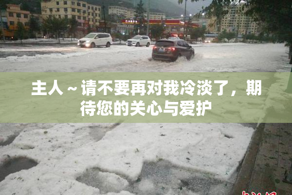主人～请不要再对我冷淡了，期待您的关心与爱护