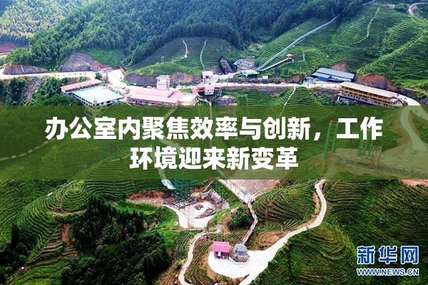办公室内聚焦效率与创新，工作环境迎来新变革