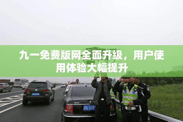 九一免费版网全面升级，用户使用体验大幅提升