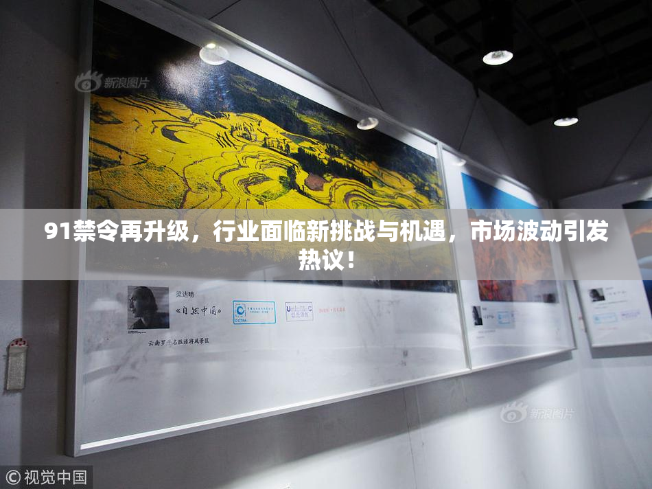 91禁令再升级，行业面临新挑战与机遇，市场波动引发热议！