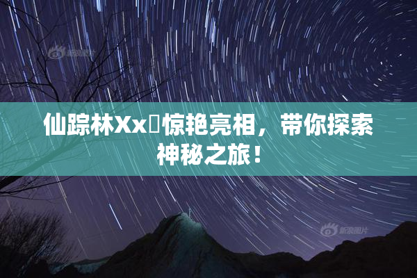 仙踪林Xx乂惊艳亮相，带你探索神秘之旅！