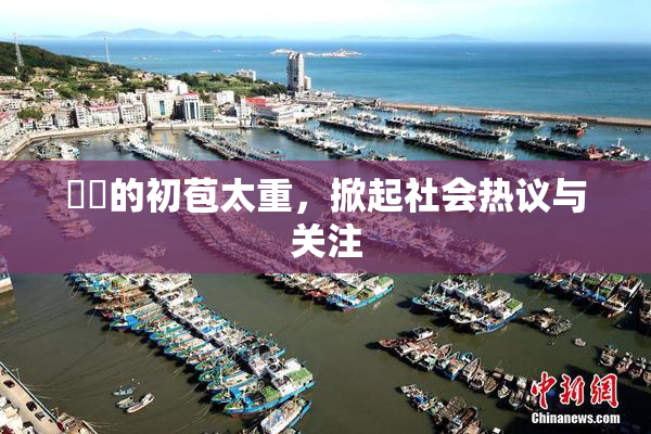 妺妺的初苞太重，掀起社会热议与关注