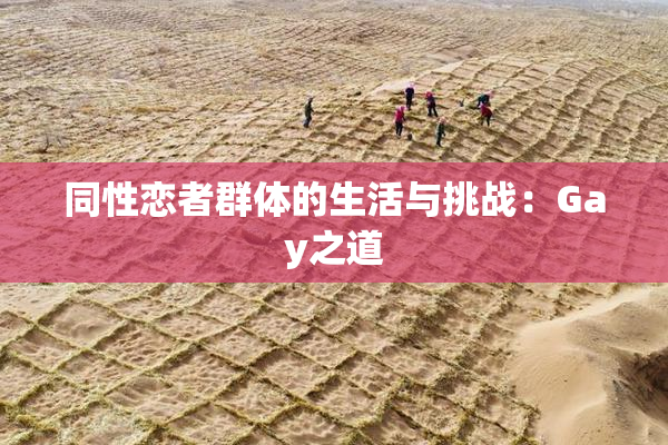 同性恋者群体的生活与挑战：Gay之道