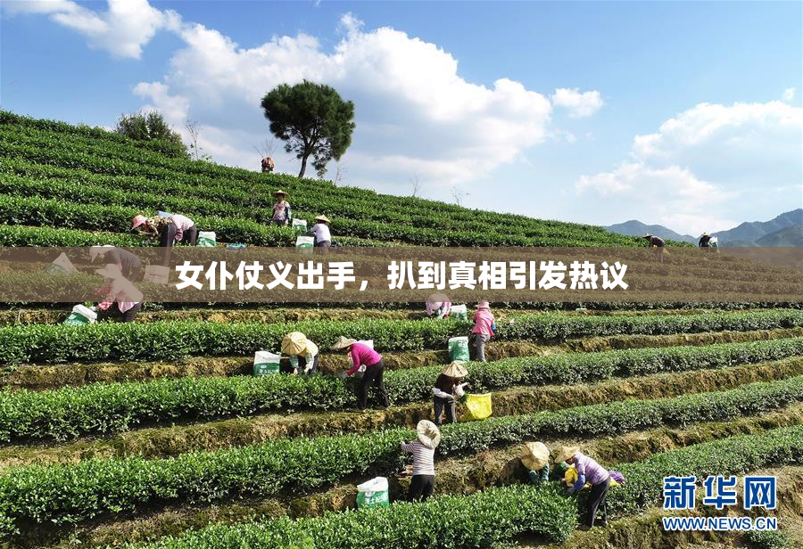 女仆仗义出手，扒到真相引发热议