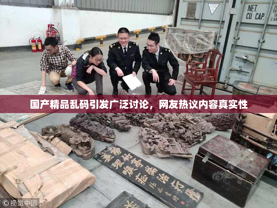 国产精品乱码引发广泛讨论，网友热议内容真实性