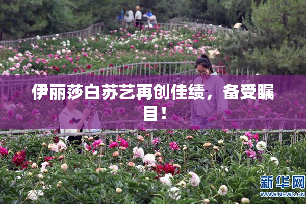 伊丽莎白苏艺再创佳绩，备受瞩目！