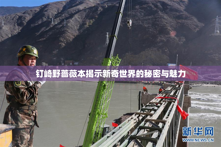 钉崎野蔷薇本揭示新奇世界的秘密与魅力