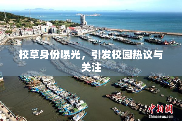 校草身份曝光，引发校园热议与关注