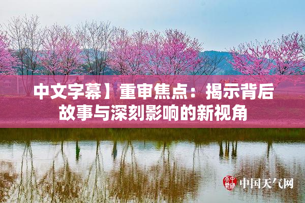 中文字幕】重审焦点：揭示背后故事与深刻影响的新视角