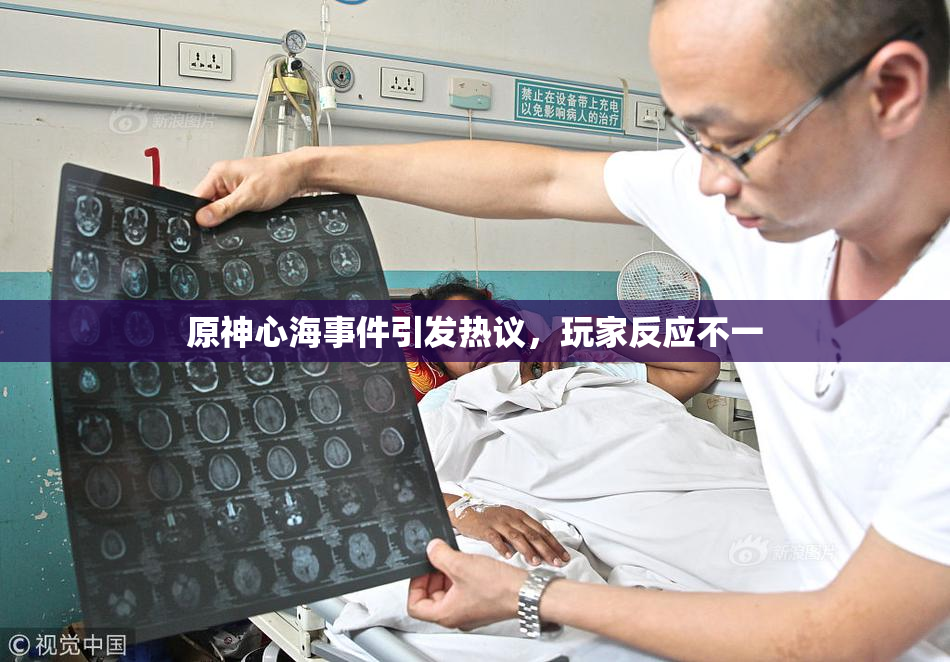 原神心海事件引发热议，玩家反应不一