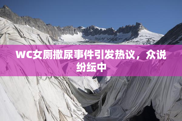 WC女厕撒尿事件引发热议，众说纷纭中