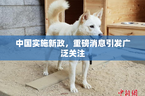 中国实施新政，重磅消息引发广泛关注