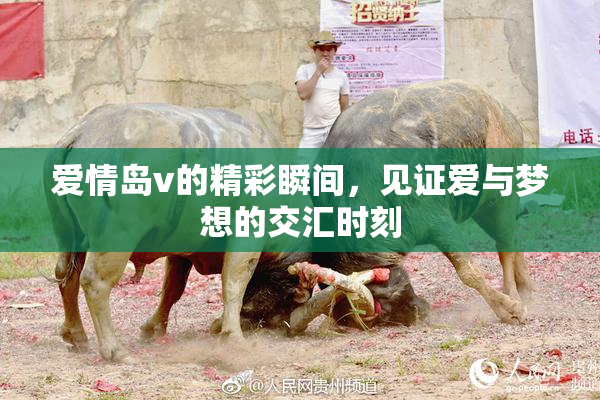爱情岛v的精彩瞬间，见证爱与梦想的交汇时刻