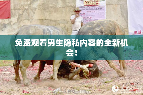 免费观看男生隐私内容的全新机会！