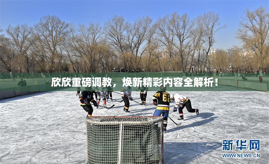 欣欣重磅调教，焕新精彩内容全解析！