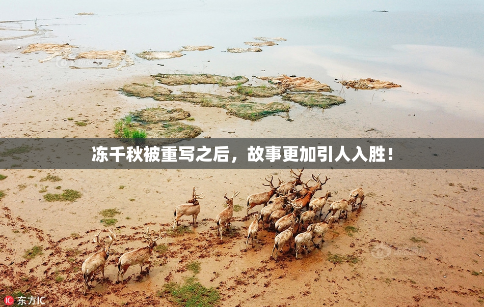 冻千秋被重写之后，故事更加引人入胜！