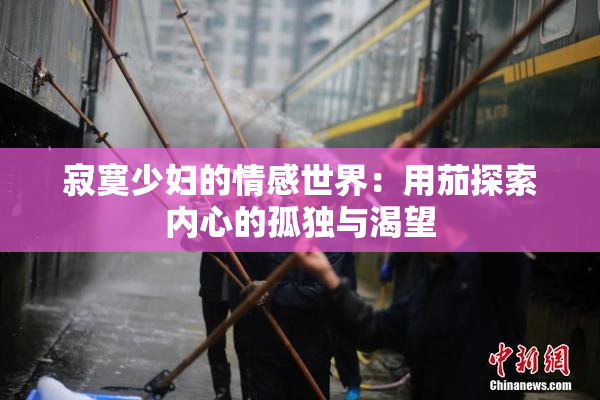 寂寞少妇的情感世界：用茄探索内心的孤独与渴望