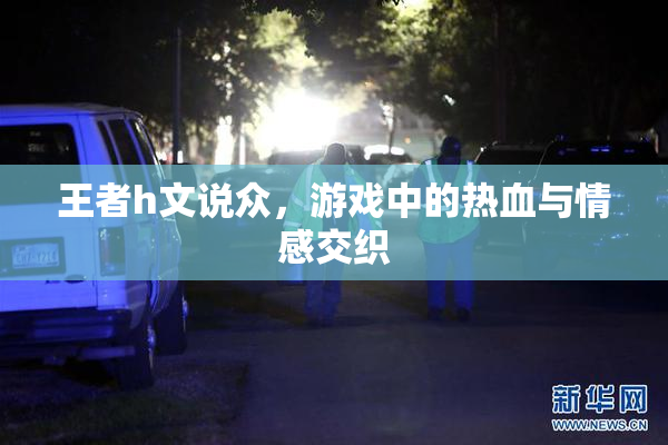 王者h文说众，游戏中的热血与情感交织