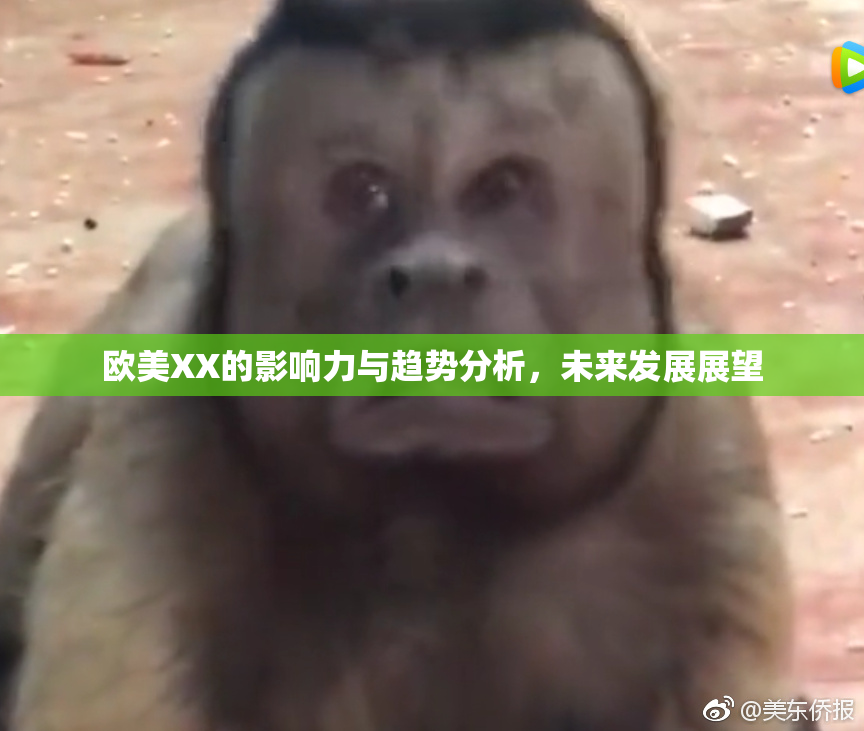 欧美XX的影响力与趋势分析，未来发展展望
