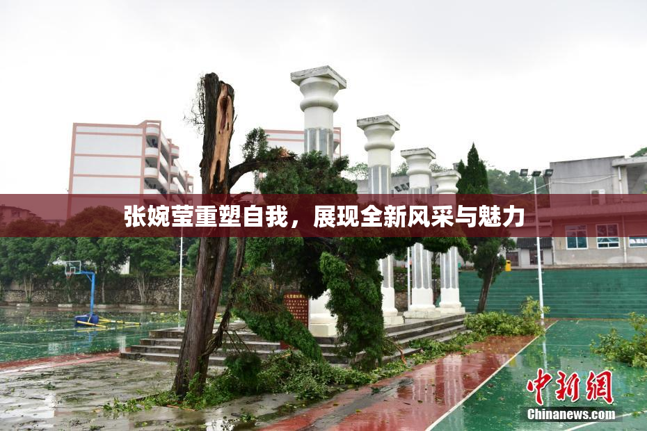 张婉莹重塑自我，展现全新风采与魅力